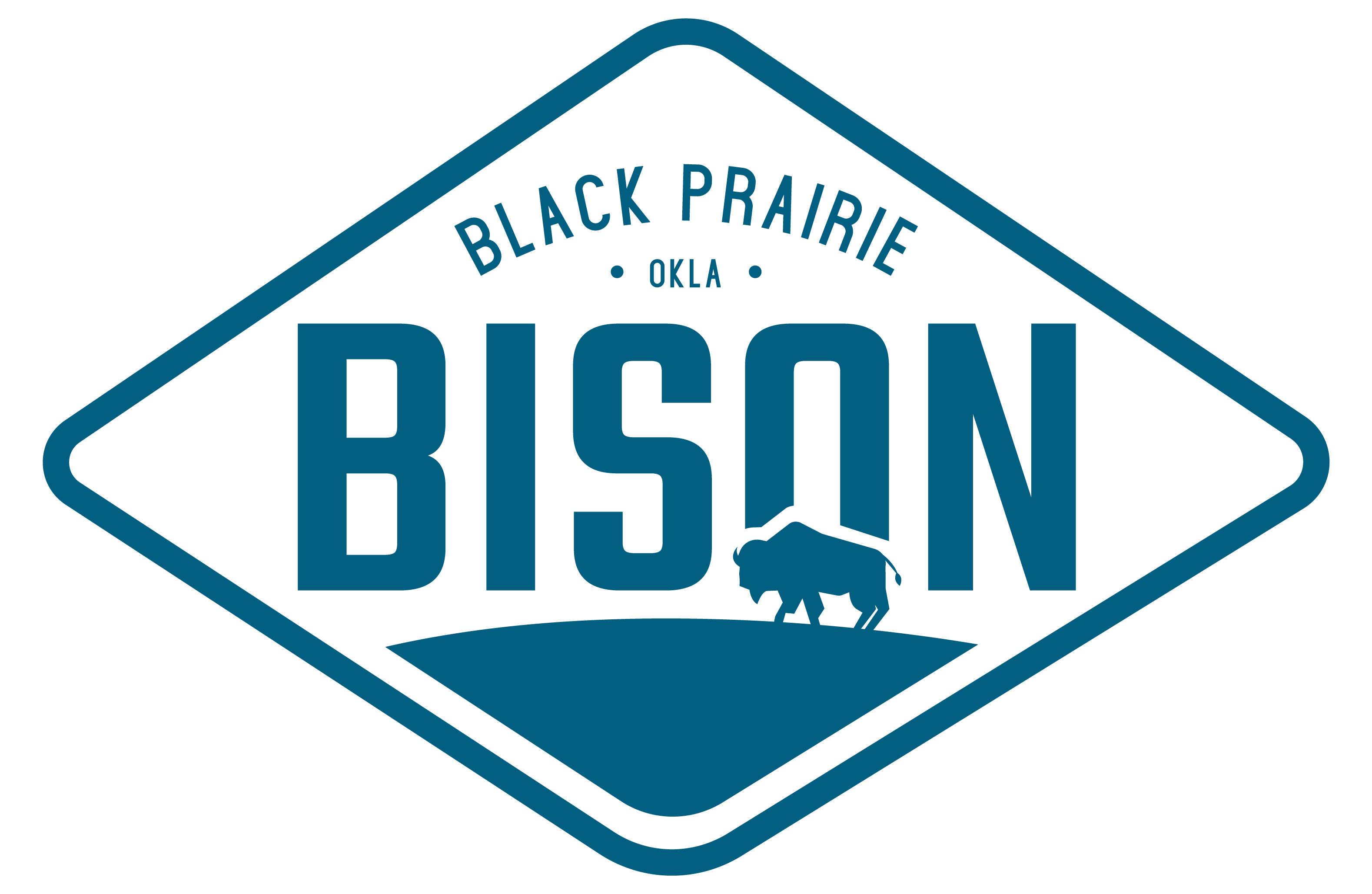 Black Prairie Bison Logo