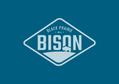 Black Prairie Bison