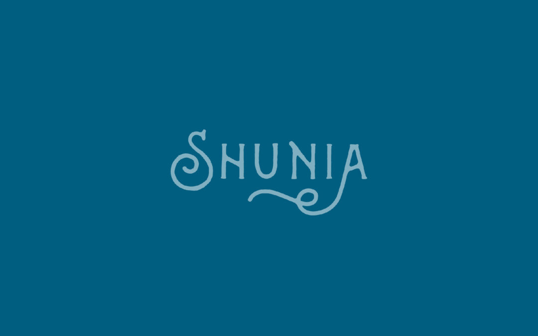 Shunia Website Redesign Case Study